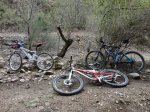 DSC01857.JPG