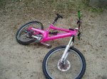 PB130079.JPG