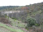 kddsanagus131120116.jpg