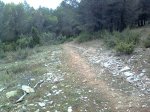 Imagen0639.jpg