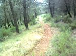 Imagen0641.jpg