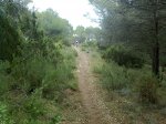 Imagen0642.jpg
