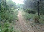 Imagen0644.jpg