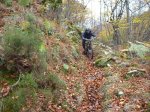 P1070170_800x600.jpg
