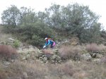 kddsanagus1311201122.jpg