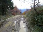 13112011477.jpg