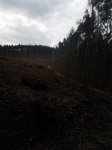 2011-11-13 11.57.22_450x600.jpg