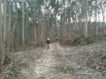 2011-11-13 11.57.27_800x600.jpg