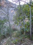 DSCN0915.JPG