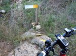 DSCN0920.JPG