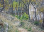DSCN0925.JPG