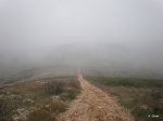 PB130030.JPG