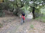 DSC02425.jpg
