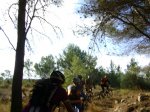 DSC04347.JPG