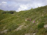 DSC04392.JPG
