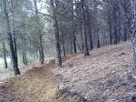 13112011814.jpg