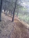 13112011815.jpg