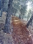 13112011817.jpg