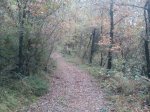 DSC00065.jpg
