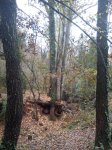 DSC00067.jpg