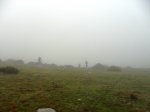 SAM_0473.JPG