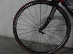 SDC11862.JPG
