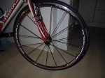 DSCN0164.jpg