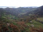Imagen0461.jpg