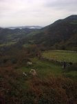 Imagen0462.jpg