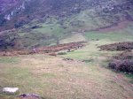 Imagen0465.jpg