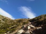 IMG01129-20111112-1250.jpg