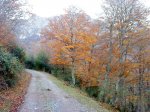 DSC05271.JPG