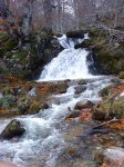 DSC05304.JPG