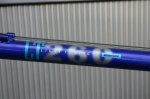 bianchi 008.jpg