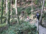 montseny 105.jpg