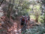 montseny 112.jpg