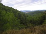 P1015875.JPG