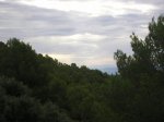 P1015878.JPG