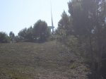 P1015899.JPG