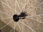 spinergy 4.jpg