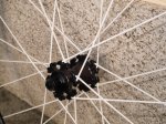 spinergy 5.jpg
