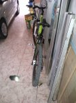 IMG_20111112_132807.jpg