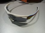 DSC00261.jpg