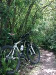 28052011_004.jpg
