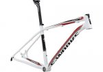 BS-Works Stumpjumper M5.jpg