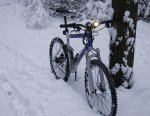 Kona A rohloff snow2.jpg