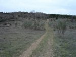 DSC04682_redimensionar_redimensionar.JPG