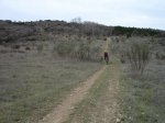 DSC04685_redimensionar_redimensionar.JPG