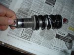DSC01002.JPG
