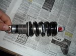 DSC01003.JPG
